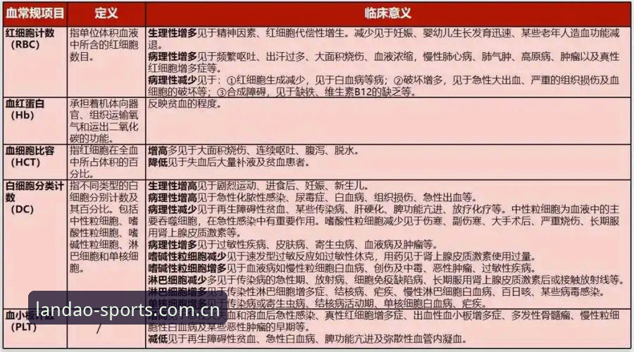 半岛体育赛事直播下载不了怎么办 半岛体育赛事直播下载失败完整指南:从诊断到解决的5步排查方案